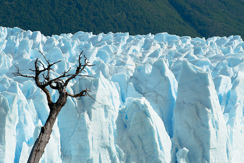 Perito Moreno glacier from the trail