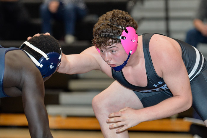 2019-02-09_D4_Springbrook_DSC0273.jpg