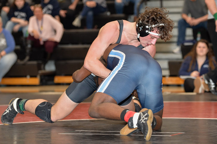 2019-02-09_D4_Springbrook_DSC0329.jpg